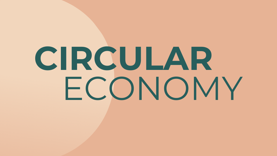Mayri Tiido circular economy
